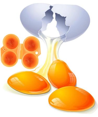 Angoily 6 Pcs Outdoor Egg Container Eggs Egg Holder Fridge Containers Portable Egg Case Refrigerator Mustard - Buy Online on GoSupps.com