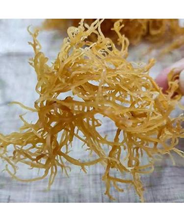 Gold Sea Moss Chinese Dried Seamoss for Food 250G - Buy Online on GoSupps.com