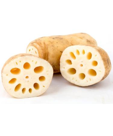 Dehydrated Lotus Root Crisp is Vegetable Dried Non-Fried Lotus Root Dried 200g (7.05oz.) Lotus Root Dried Slices - Buy Online on GoSupps.com