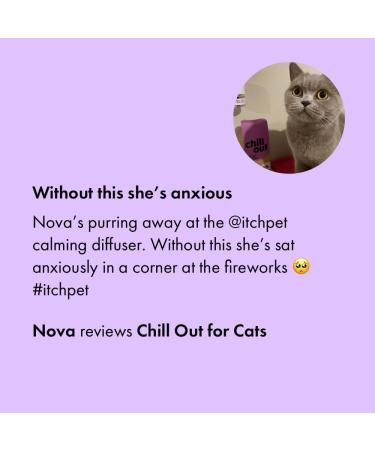 Calming Pheromones Starter Kit for Cats | Itch | Anxiety & Stress Relief | Plug-in Diffuser & 30-Day Refill - Buy Online on GoSupps.com