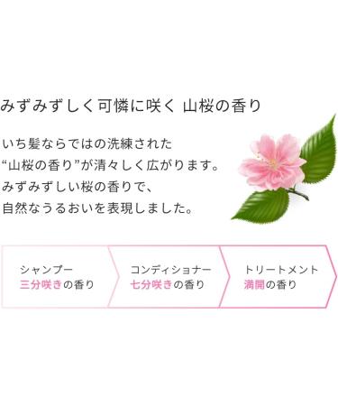 Ichikami Smooth Care Hair Conditioner Pump - 480ml - Buy Online on GoSupps.com