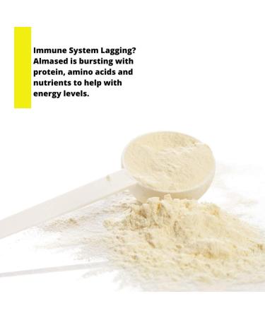 Almased Meal Replacement Shake - Low-Glycemic Plant Protein Powder - Original Flavor - 17.6 oz - Nutritional Weight Support Supplement - Buy Online on GoSupps.com