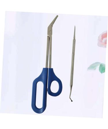 minkissy Pedicure Kit 1 Set Cosmetology kit Grooming kit Manicure kit Pregnant Woman Cosmetic kit 20x5.5cm Silver - Buy Online on GoSupps.com