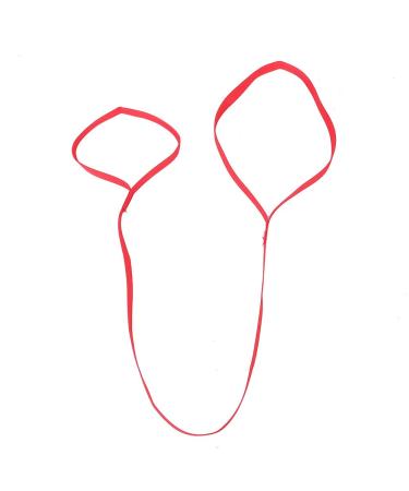 Long Leg Lifter Strap for Disabled Elderly - Portable Foot Lifting Device for Improved Leg Mobility - Aid for Adult Senior Handicap & Pediatrics - Buy Online on GoSupps.com