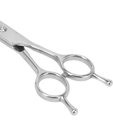 Hair Cutting Scissors Straight Hairdressing Shears Stainless Steel Tool for Home Salon - Buy Online on GoSupps.com