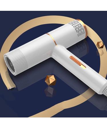 Professional Hair Dryer Infrared Negative Ionic Blow Dryer Hot&Cold Wind Salon Hair Styler Tool Hair Electric Blow Drier Blower (Type 2 White) - Buy Online on GoSupps.com