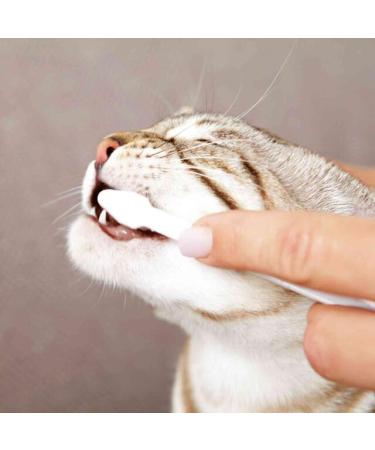 TRIXIE Dental Hygiene Set for Cats | Double Pack | 2 x 50 g | for Cats Dental Hygiene | Contains Cheese Flavoured Toothpaste and Two Toothbrushes with Different Heads - Buy Online on GoSupps.com