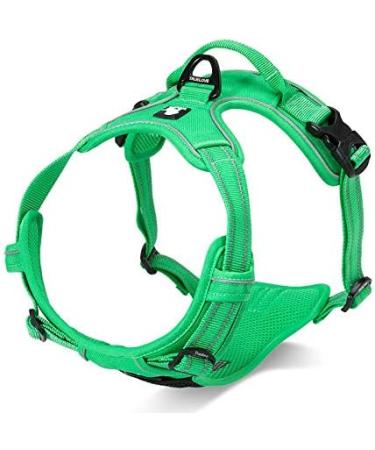 Buy Winhyepet TrueLove No-Pull Dog Harness - Reflective Adjustable with Linen Clips for All Dog Sizes (TLH5651 S Grass Green) - International Shipping Available - Buy Online on GoSupps.com