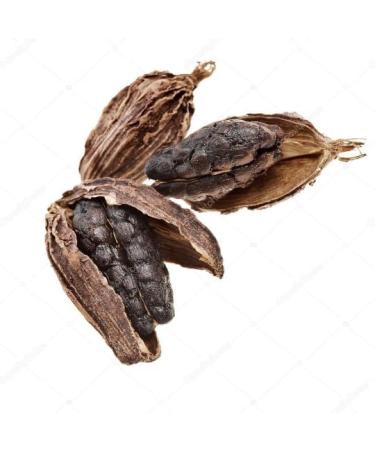 Cardamom black pods whole 50g Cardamom Black Brown Cardamom  - Buy Online on GoSupps.com