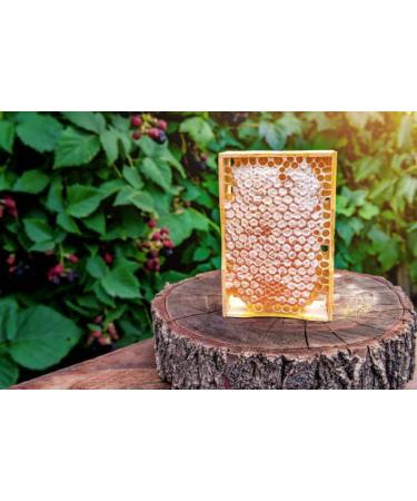 100% Natural Honeycomb Wildflowers Pure Raw Honey Comb (600 grams) - Buy Online on GoSupps.com