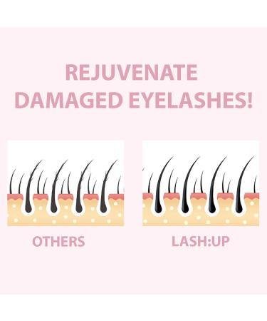 Amber Lash Curlerful - Eyelash Lift & Brow Lamination Tube Set | Professional Lash & Brow Perm 20ml Each - Buy Online on GoSupps.com