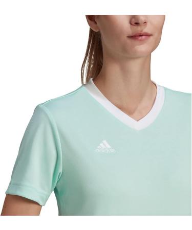 Buy Adidas Women's T-Shirt XS - Clear Mint | Stylish & Comfortable | International Shipping Available - Buy Online on GoSupps.com