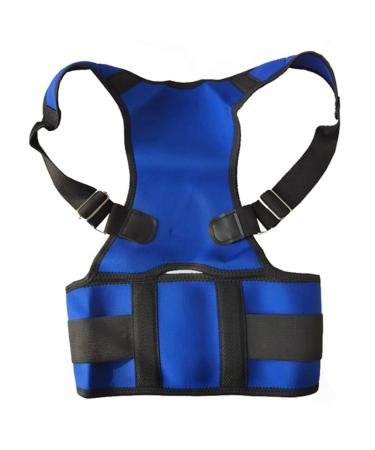 DFHBFG Posture Corrector Corset Back Support Belt Orthopedic Back Belt Lumbar Corset Posture Brace(Blue L Code) L code Blue
