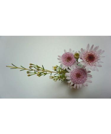 Eco-Friendly Lotus Shaped Clay Floral Holder for Happy and Wealthy Floral Arrangements - White, 2.76 inches - Buy Online on GoSupps.com