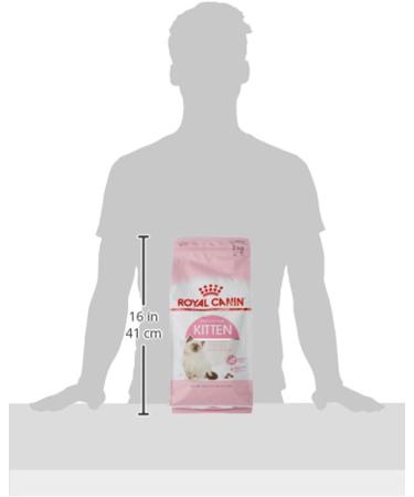 Royal Canin Kitten Complete Dry Cat Food 2kg - Buy Online on GoSupps.com