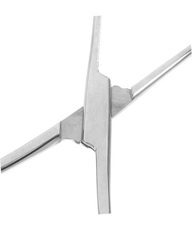 Kisangel Reptile Feeding Clip Terrarium Supplies Snake Tank Accessories Stainless Steel Silver - Buy Online on GoSupps.com