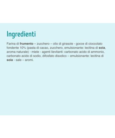  Italian Gourmet E.R. Privolat Biscuits with Chocolate Chips 290 g / 290 g / Pulp Italian Gourmet 400 g Pack of 12 - Buy Online on GoSupps.com