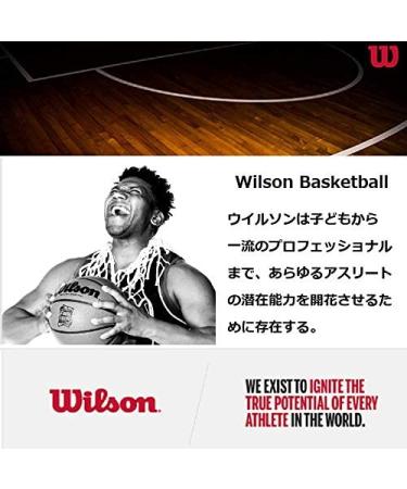WILSON NBA All Team Basketball 29.5 Red White & Blue - Official Size Basketball - Buy Online on GoSupps.com