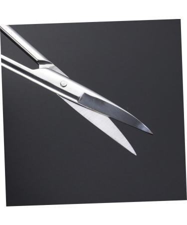 Buy Stainless Makeup Scissors | Curved & Eyebrow Scissors - International Shipping Available - Buy Online on GoSupps.com