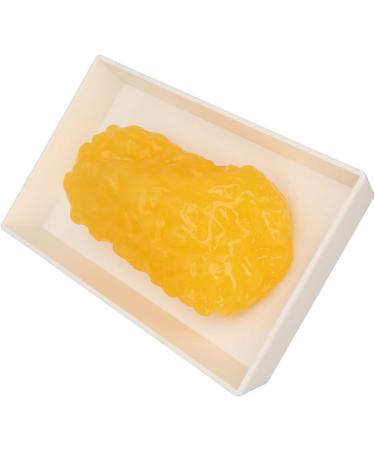 Body Fat Replica Fatty Replica Model Fat Demonstration Model with Exquisite Workmanship Simulated Appearance for Nutritionist Science Course Plastic Material - Buy Online on GoSupps.com