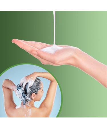 Professional Argan and Honey Lightening Shampoo for All Hair Types and Extensions Sohair Moisturizing Action - 250 ml - Buy Online on GoSupps.com