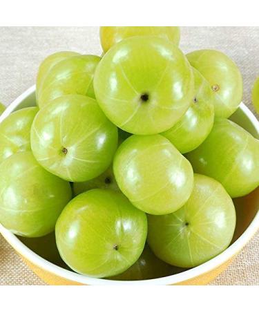 Organic Amla Powder (Amalaki) - 100% Raw Pure Indian Gooseberry - Rewind With Nature Organics - Buy Online on GoSupps.com