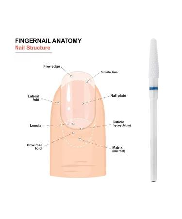 MaryCarrie Ceramic Small Cone Cuticle Clean Drill Bit - 3/32 Inch Shank - Acrylic Nails Gel Remover - White (Medium Grit) - Buy Online on GoSupps.com