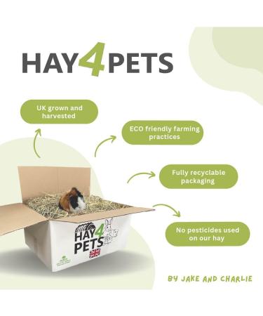 Hay4Pets Timothy Hay- 12.6kg. Fresh Green Stem Feeding Hay For Rabbit Guinea Pig Hamster & Small Animals. High Fibre Natural Food For Pets. Dried Grass Animal Feed 12.6 kg (Pack of 1) - Buy Online on GoSupps.com