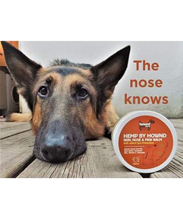 HOWND Skin Nose & Paw Balm with Hemp Seed Oil & Sun Protection - Vegan, Unscented, Fast-Absorbing - 50g - Buy Online on GoSupps.com