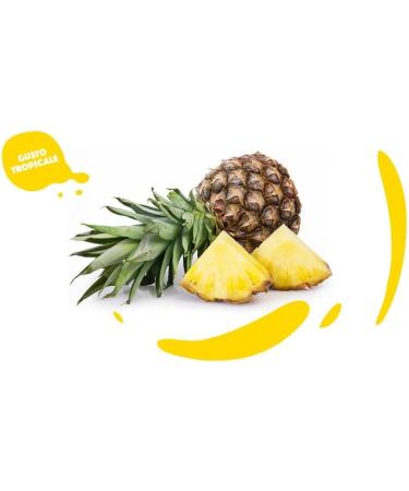  Italian Gourmet E.R. 24 x Yoga Succo Ananas Nettare pineapple juice refreshing fruit juice tropical taste 200 ml glass + 400 g Italian box of Polpa di Pomodoro - Buy Online on GoSupps.com