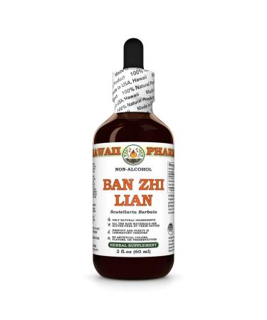 Ban Zhi Lian (Scutellaria Barbata) Dry Herb Glycerite Made in Hawaii All Natural Vegan Lab Tested Alcohol-Free Liquid Extract - 2 fl.oz 2 Fl Oz (Pack of 1)