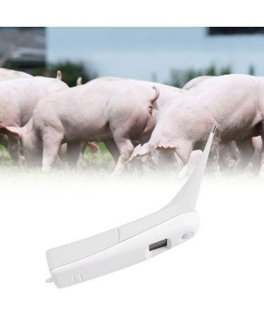 Pet Thermometer Dog Thermometer Fast Digital Veterinary Thermometer Pet Thermometer For Dogs Cats Horse Cattle Pigs Birds Sheep - Buy Online on GoSupps.com