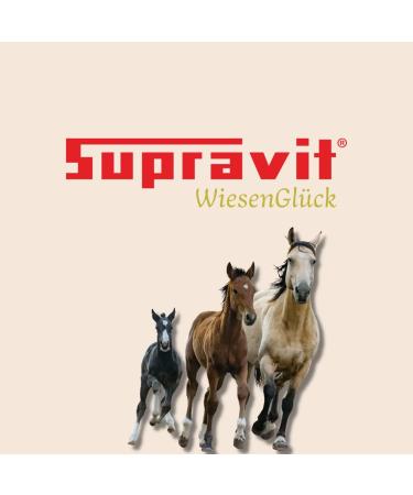 Buy Supravit Devils Claw Horse 1000ml | Support Musculoskeletal Health Naturally | International Shipping - Buy Online on GoSupps.com
