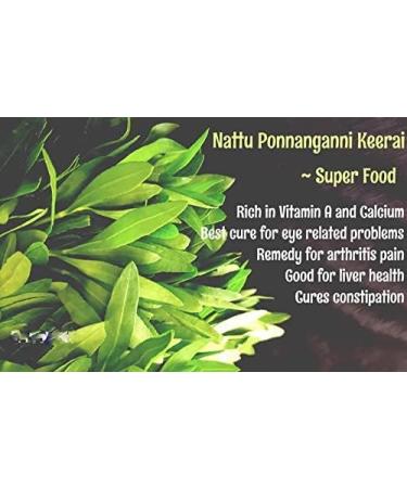 SEP Ponnankanni Powder 100g | Gudari sag | Honagonne | Alternanthera sessilis - Buy Online on GoSupps.com