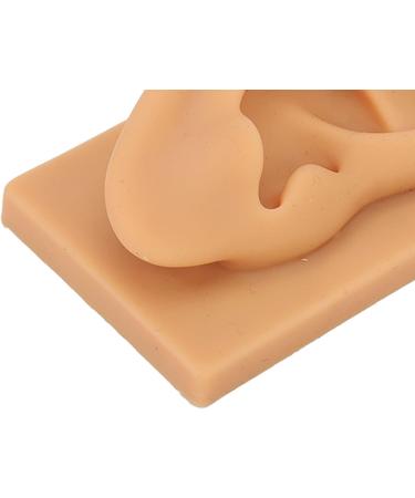Flexible Silicone Right Ear Model for Teaching, Ear Picking, and Piercing - Waterproof & Realistic Simulation Display Accessory - Buy Online on GoSupps.com