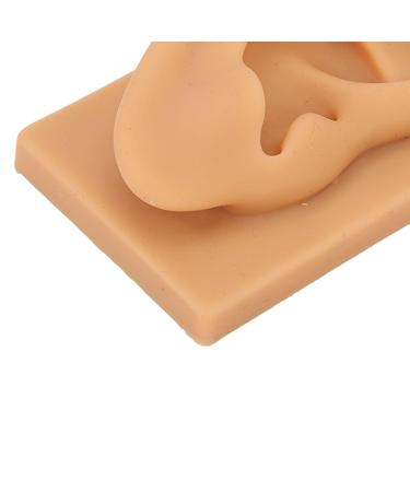 Ear Model Soft Silicone Right Ear Model Clear Structure Science Education Easy To Observe Flexible Waterproof for Display - Buy Online on GoSupps.com