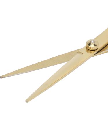 Hair Cutting Scissors Professional Home Barber Shears Stainless Steel with Incisive Blades - Buy Online on GoSupps.com
