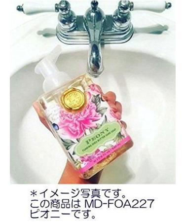 Michel Design Works Scented Foaming Hand Soap Deck the Halls - Buy Online on GoSupps.com
