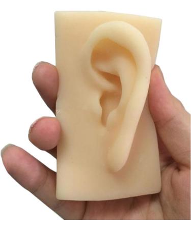 Human Ear Model Flexible Soft Silicone Imitation Real Ear Teaching Model -1 Pair Ear Mold Artificial Display Sample Educational Resources in Scienc - Buy Online on GoSupps.com