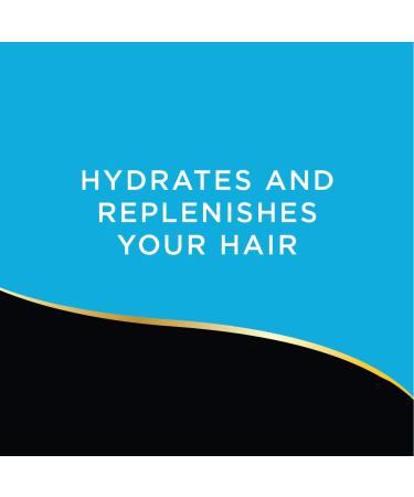 Buy Agree Argan Oil Conditioner - Color Safe Paraben Free 12.5 oz (Pack of 12) | International Shipping Available - Buy Online on GoSupps.com