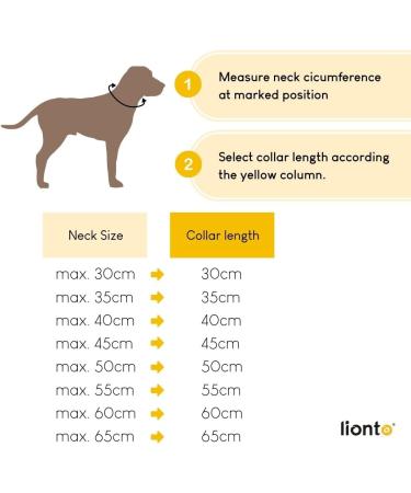 Lionto Dog Collar - Retriver Training Collar | 40 cm Length Brown 0.8 cm Thickness - International Shipping Available - Buy Online on GoSupps.com