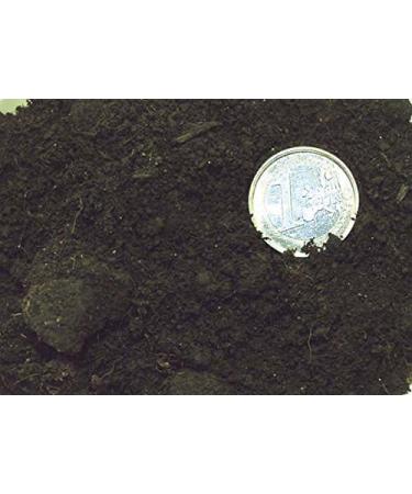 Dragon Terrarium Soil 10L - 100% Organic For Rainforest & Jungle Terrariums - Perfect For Humid Environments - Buy Online on GoSupps.com