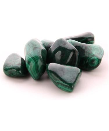 FOMIYES 2pcs Malachite Stones Gem Malachite Bulk Cerovital Natural Polished Gemstone Cereals Large Particles As Shownx2pcs mediumx2pcs - Buy Online on GoSupps.com