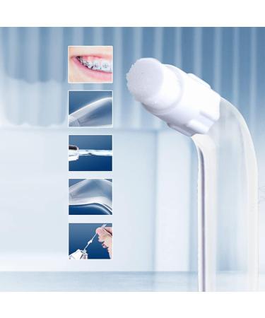 Jerilla 9pcs Oral Irrigator Nozzle Set - Compatible with Waterpik Water Flossers - Replacement Jet Tips Kit for WP-100/WP-250/WP-300/WP-450/WP-560/WP-660/WP-811/WP-900 - Includes Toothbrush - Flycat FC168/FC188 - Buy Online on GoSupps.com
