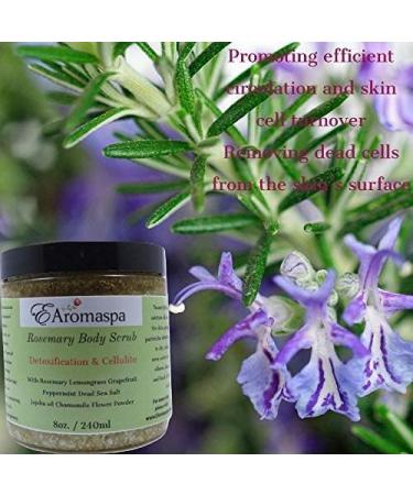 Shop New Victoria's Secret Pure Seduction Fragrance Lotion - Luxurious Scent for All Skin Types | Worldwide Shipping - Buy Online on GoSupps.com