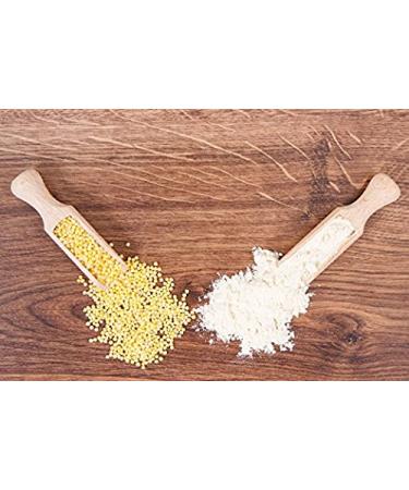 Organic Millet Flour - Non-GMO Stone Ground Raw Vegan 4lb Bulk - USA Product - Buy Online on GoSupps.com