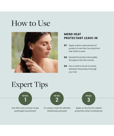 Arey Mend Heat Protectant Leave-In Conditioner - 2 Fl Oz. - Buy Online on GoSupps.com