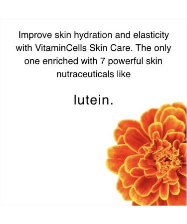 Ecco Bella Plant-Based Night Cream | Anti-Aging Moisturizer with Hyaluronic Acid Vitamin C & E | 2oz - All Natural International Shipping Available - Buy Online on GoSupps.com
