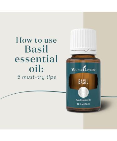 Basil Essential Oil 15ml by Young Living | Soothes Muscles | Vegan Gluten-Free | Aromatherapy & Massage | Calming Aroma Topical Use - Buy Online on GoSupps.com
