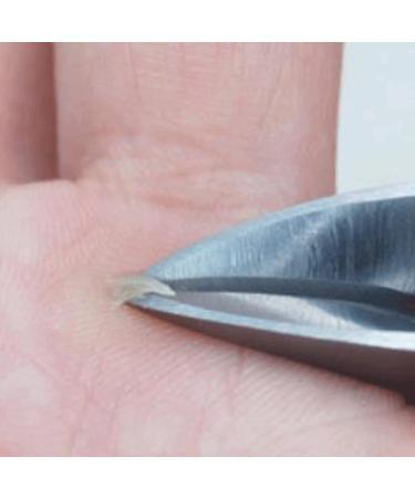 UNbit Nail Clipper Stainless Steel Clippers Nail Clippers Large Mouth Nail Clippers Dead Skin Fork Nail Clippers Clippers - Buy Online on GoSupps.com